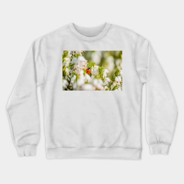 Ladybird amongst the heather Crewneck Sweatshirt by mbangert